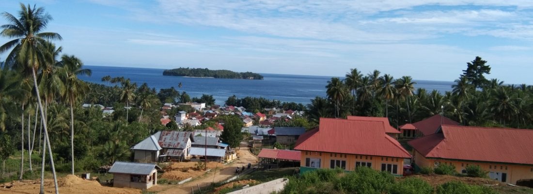 View From Top of School